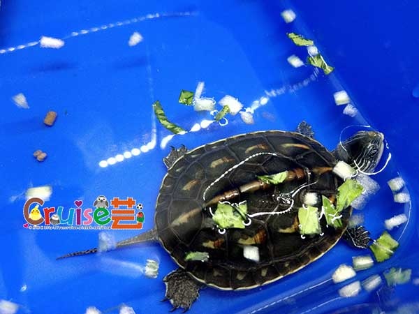 181219-(4) 181219-(4)