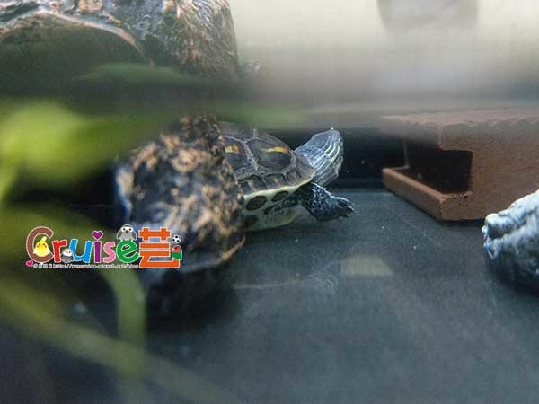 181219-(27) 181219-(27)