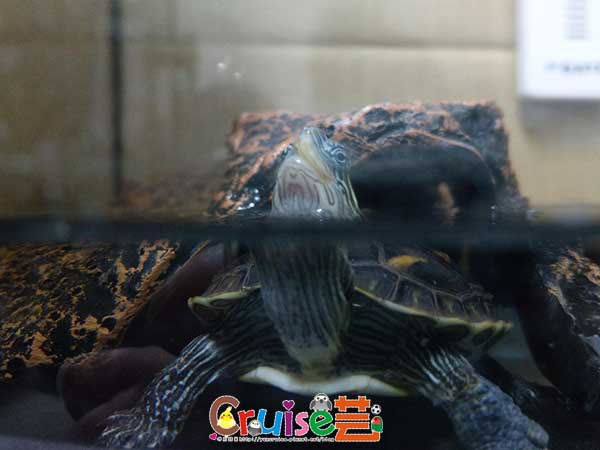 181219-(22) 181219-(22)