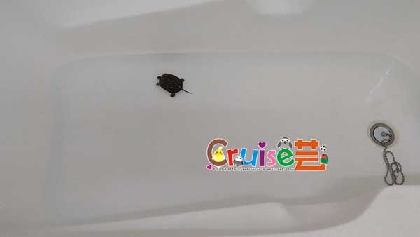 181219-(6) 181219-(6)