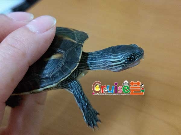 181219-(16) 181219-(16)