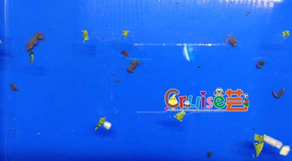 181220-大便-(2) 181220-大便-(2)