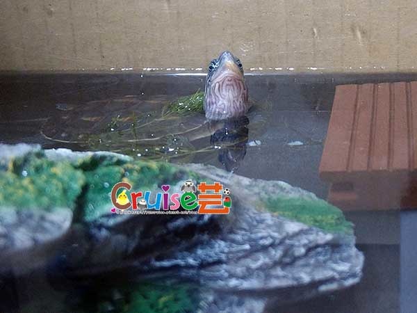 181220-(26) 181220-(26)