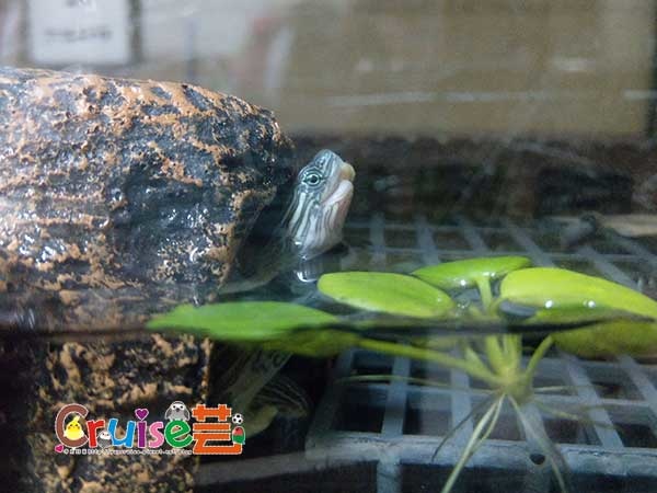 181220-(29) 181220-(29)