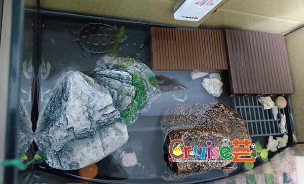 181220-(21) 181220-(21)