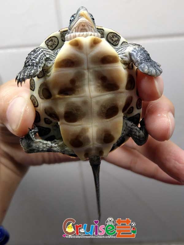 181221-(3) 181221-(3)