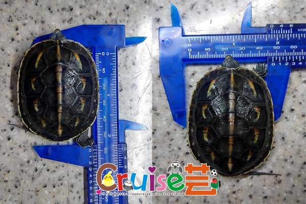 181221-(6) 181221-(6)