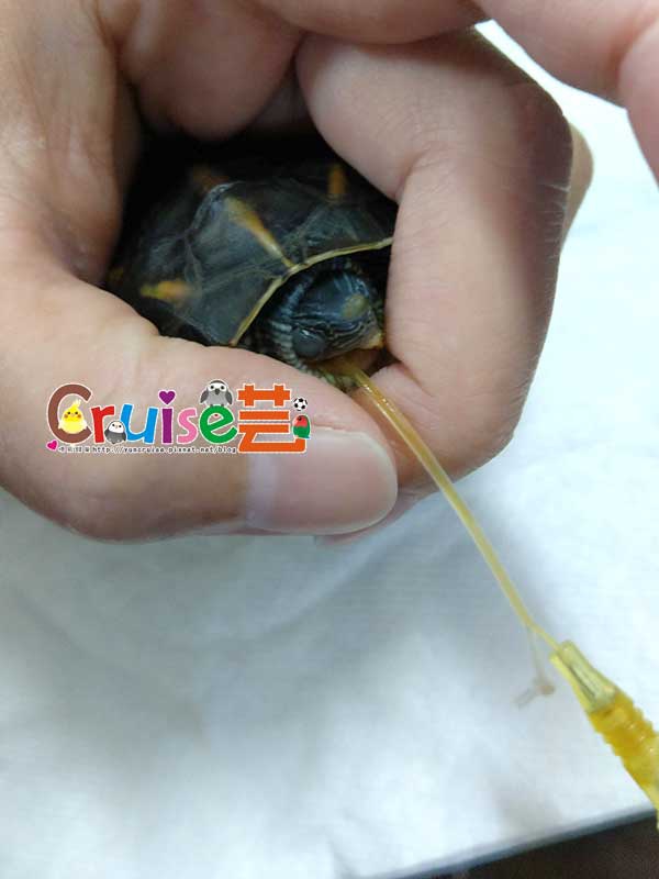 181221-(16) 181221-(16)