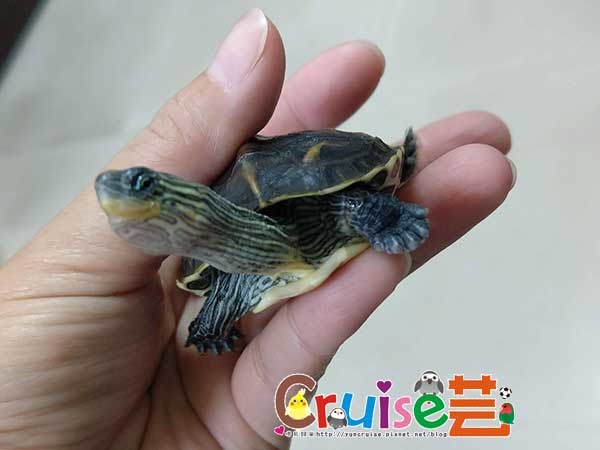 181221-(23) 181221-(23)