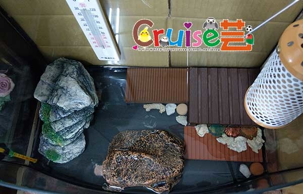 181221-(13) 181221-(13)