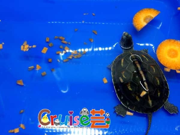 181222-(3) 181222-(3)