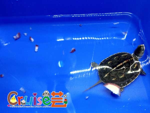 181222-(8) 181222-(8)