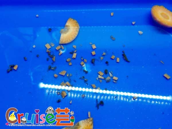 181222-(6) 181222-(6)