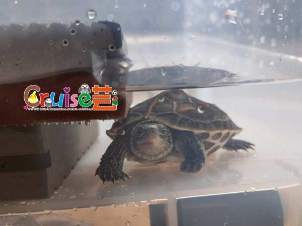 181223-(19) 181223-(19)