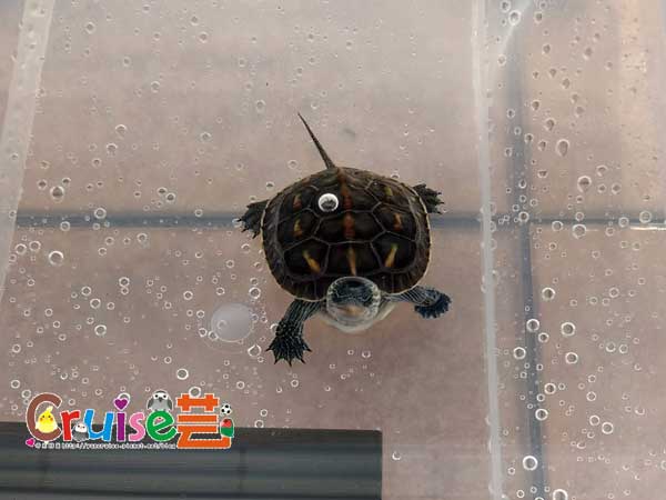 181223-(21) 181223-(21)