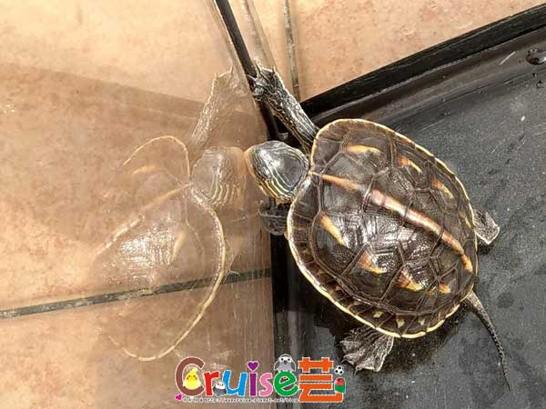 181223-(37) 181223-(37)