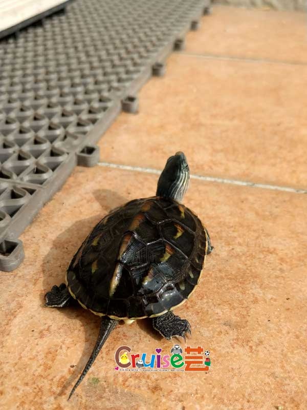 181223-(15) 181223-(15)