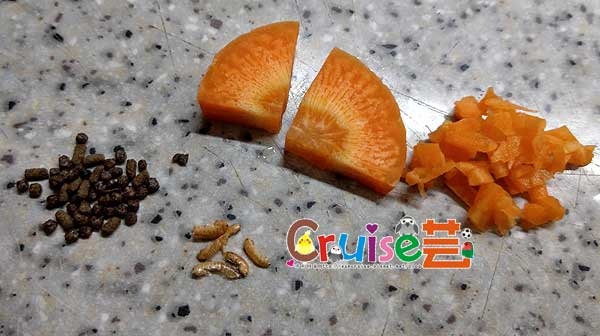 181223-(38) 181223-(38)