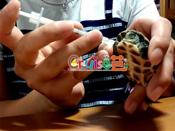 未命名--1 未命名--1