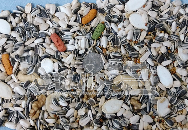 台灣製造_台產鳥飼料&鸚鵡飼料及營養補充品