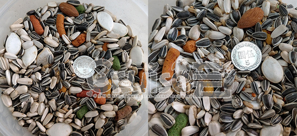 台灣製造_台產鳥飼料&鸚鵡飼料及營養補充品