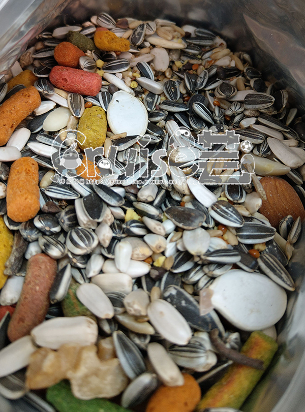 台灣製造_台產鳥飼料&鸚鵡飼料及營養補充品 台灣製造_台產鳥飼料&鸚鵡飼料及營養補充品