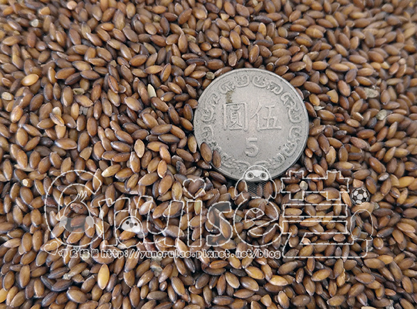 台灣製造_台產鳥飼料&鸚鵡飼料及營養補充品