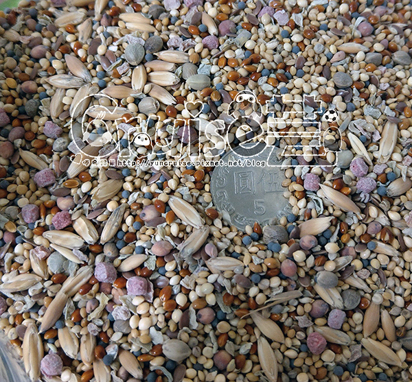 觀賞鳥全方位飼料-小型-(5).jpg