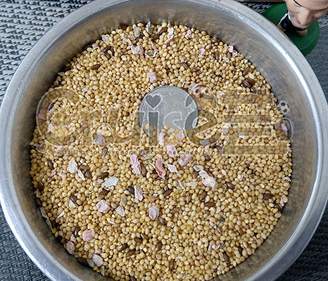 台灣製造_台產鳥飼料&鸚鵡飼料及營養補充品