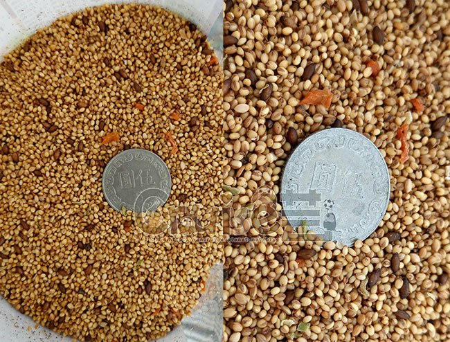 台灣製造_台產鳥飼料&鸚鵡飼料及營養補充品