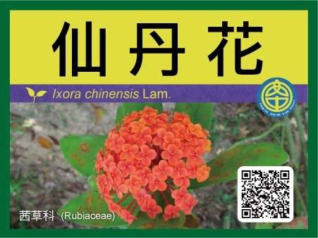 永安國中植物牌-小型-21.jpg