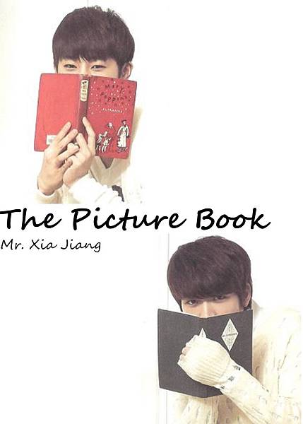 the picture book