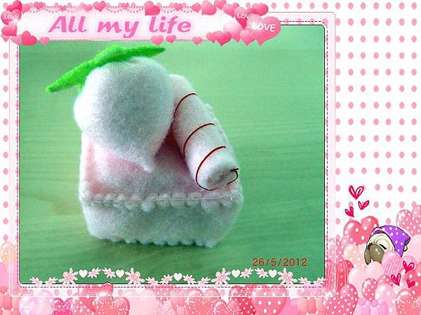 CIMG0113 CIMG0113