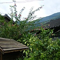 DSCF2074.JPG