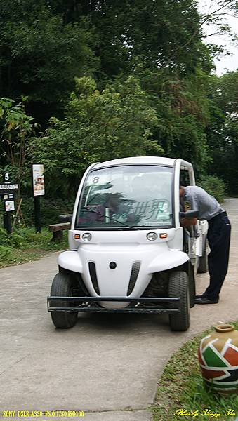 遊園車