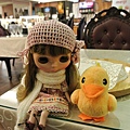 171126AA.JPG