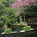 2014_0317CM.JPG