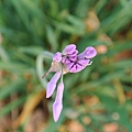 2014_0330CM.JPG