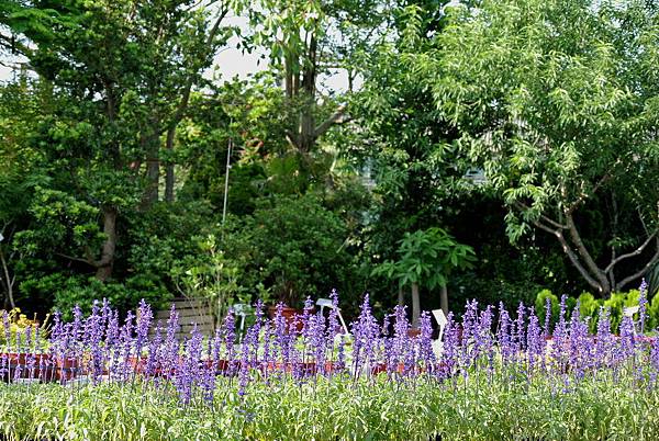 2014_0511EC.JPG 2014_0511EC.JPG