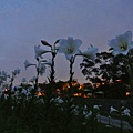 2014_0524CM.JPG