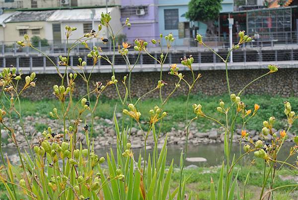 2014_0715EB.JPG 2014_0715EB.JPG