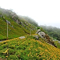2014_0819AL.JPG