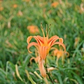 2014_0819AI.JPG