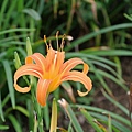 2014_0819AW.JPG