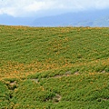 2014_0820CG.JPG