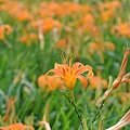 2014_0820DE.JPG