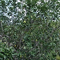 2014_0819BD.JPG