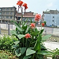 2014_0827DA.JPG