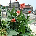 2014_0827DB.JPG
