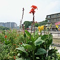 2014_0827DE.JPG